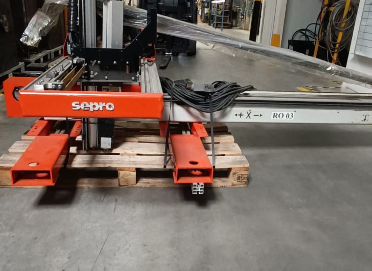 SEPRO PIP 3010 YN Robot per pezzi ad iniezione