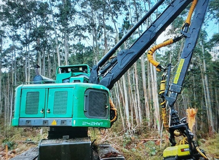 Máquina de colheita WACKER NEUSON FOREST 243 HVT