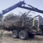 PALMS HMWD 3.2 L Forestry trailer with STRENX crane
